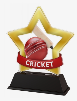Mini Star Cricket Trophy - Well Done Trophy Gold