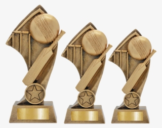 Ad Cricket Theme Rsg5 - Trophy