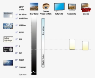 Luminance, As Seen In The Real-world, Has A Huge Range - Dynamic Range Of Real World