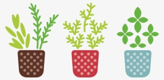Kitchen Herbs, Potted Plants, Illustration - Crazy Plant Lady Svg