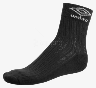 Free Png Umbro Black Socks Png - Sock