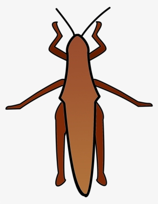 Download Thanksgiving Cockroach Coloring Pages 19 Collection - Earwigs