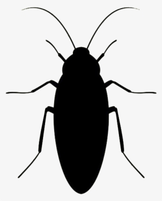 Cockroach-transparent - Cockroach Black