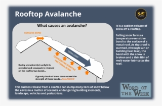 Word Of The Week - Diagram