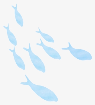 Illustrations Of Animals, Plants, Trees, And Flowers - Whale