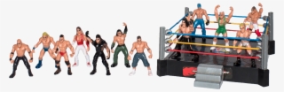 Mini Wrestlers & Ring - Wrestlers Small Action Figures