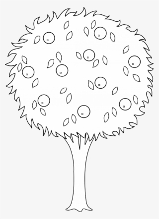Orange Tree Line Art Free Clip Art 166224 Oranges Coloring - Colouring Of Orange Tree