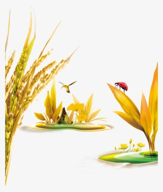 Oats Wheat Wheat Birds Ladybug 1969*2362 - Rice Crop Psd Free Download