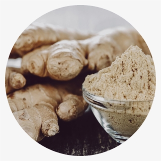 Ginger - Ginger Root