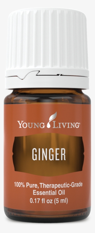 Ginger - Ginger Young Living Png