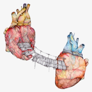 Feel The Sun On Your Face Your Heart, Heart Real, Artsy, - Anatomy Art Two Hearts