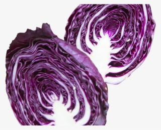 Napa Cabbage Purple Png Image - Purple Cabbage Cabbage Png