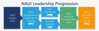 Upon Completion Of The Naui Fit Program, Each Participant - Parallel