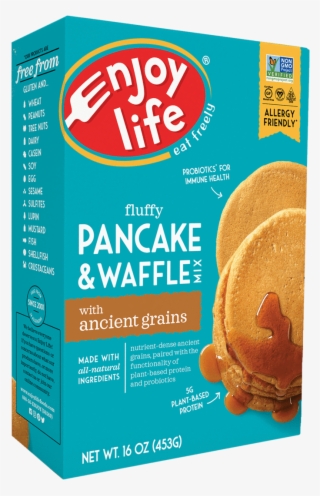 Enjoy Life Chocolate Chips