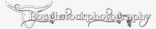 Pro Rodeo Photographer - Calligraphy