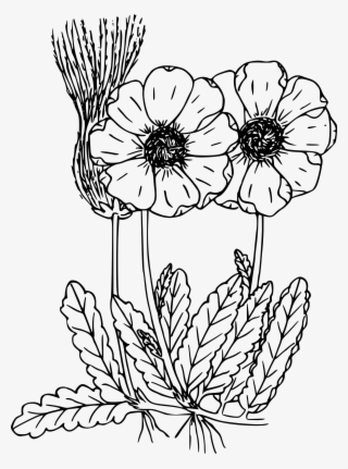 This Free Icons Png Design Of Mountain Dryad