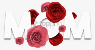 Free Png Mãe, Palavra Com Rosas Livre E Psd - Garden Roses