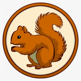 Squirrel ] - Squirrel Clipart Png