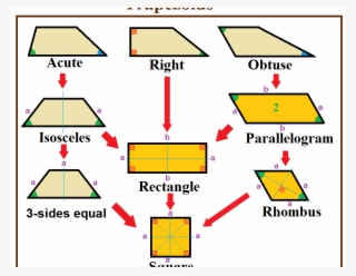 How To Find The Area Of A Trapezoid - Polygon Trapezoid