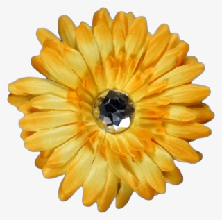 Yellow Flower - 2 月 8 日 誕生 花