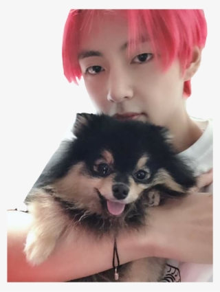 #yeontan #taehyung #bts #png - Taehyung And Yeontan