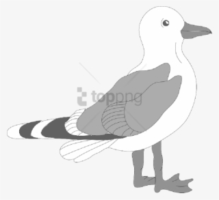 Free Png Seagull Template Png Image With Transparent - Bird Clip Art