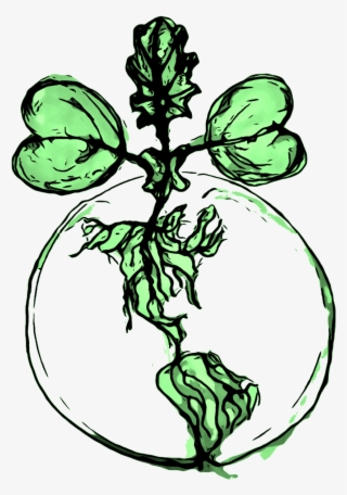Backyardharvestlogo
