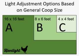 Backyarder Coop Size For Options - Dog