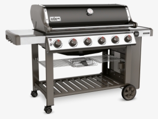 623814 2 - Weber Genesis 2 E610