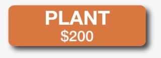 Your Support Will Fund Enough Vegetable Plant Starts - Request For Demo Button