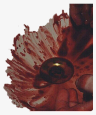 #gore #blood #aesthetic #bloodwarning #bloodysink #bloodyhands - Macro Photography