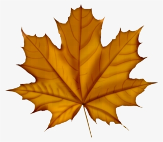 Faℓℓ ‿✿⁀○ Fall Cookies, Autumn Art, Flower - Canada Day 150 Anniversary