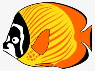 Fish Sea Animals Clipart
