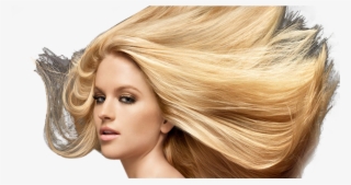 High Resolution Hair Model