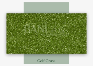 The Gallery For > Golf Grass Png - Lawn