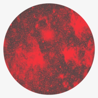 Sponsor Icons-01 - Circle