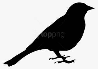 Free Png Birds Png Images Transparent - Pigeon Face Silhouette