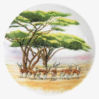 Plate