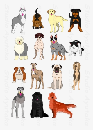 Group Of Large And Middle Dogs Breeds Hand Drawn - Dogs Clip Art Group