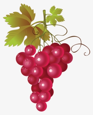 Hop Grape Vines - Red Grapes Clipart Png