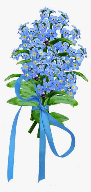 Forget Me Not Png Image - Dayflower