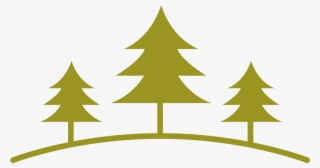 2017 Refresh @ Evergreen - Christmas Tree