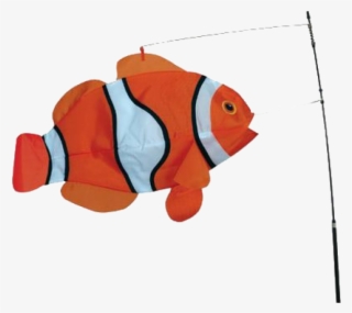 Image Of Clownfish Swimming 3d Fish - Manche A Air Poisson