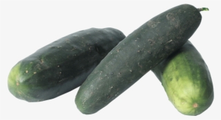 Cucumber
