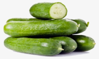 Snack Cucumber - Pickled Cucumber
