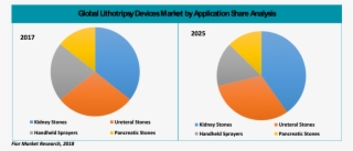 The Market Estimates Have Been Evaluated By Considering - Diagram