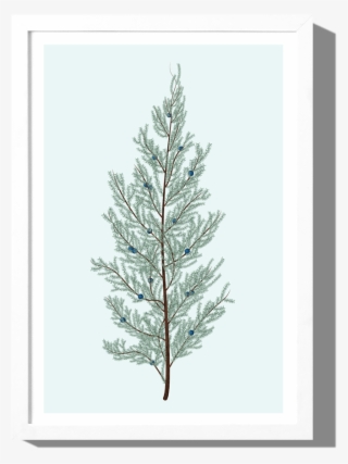 Juniper Art Print Roo Kee Roo - Christmas Tree