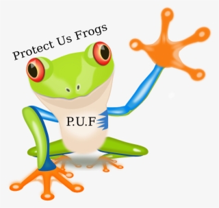 Small - Red Eyed Tree Frog Cartoon