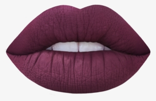 The Original Liqu - Labial Teddy Bear