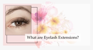 Eyelash Extensions